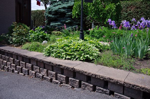 Yard Erosion Repair