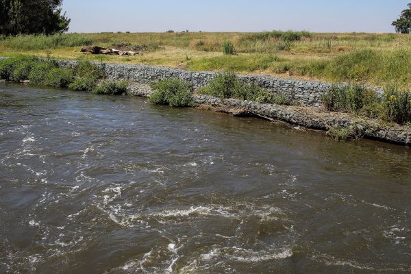 Land Erosion Management