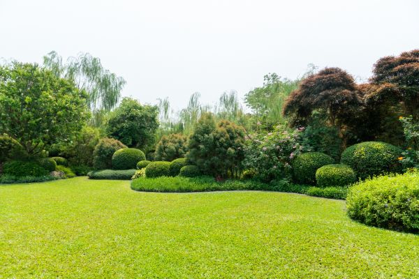 Landscape Repair