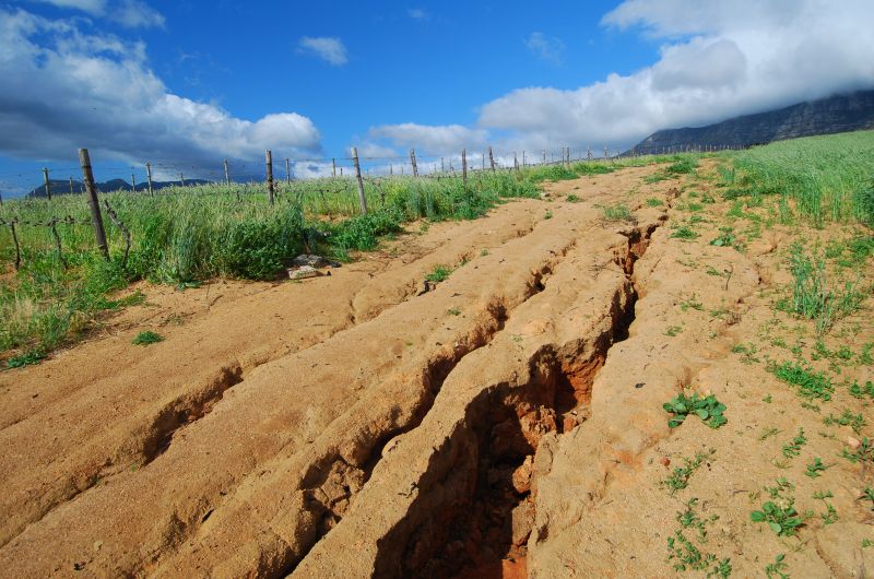 Outdoor Erosion Management