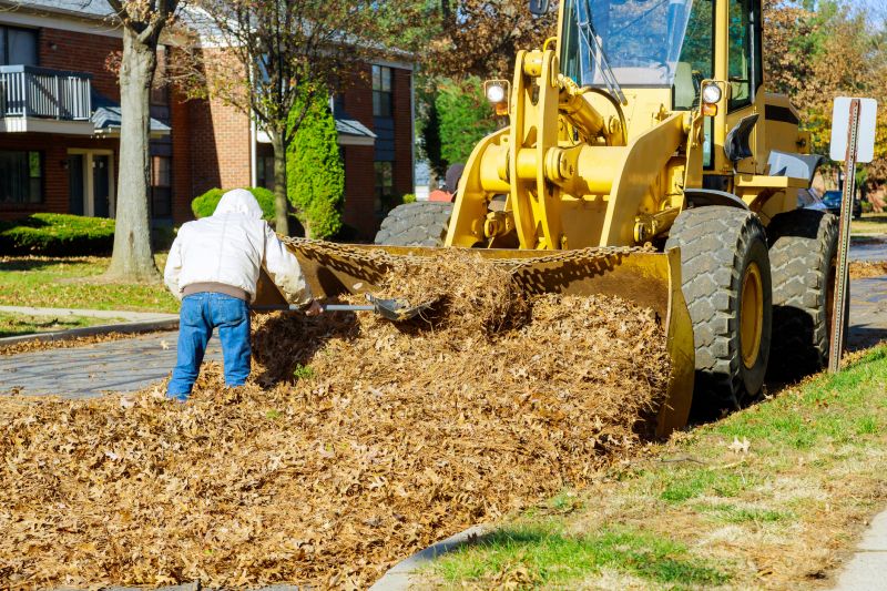 Mulched Leaves