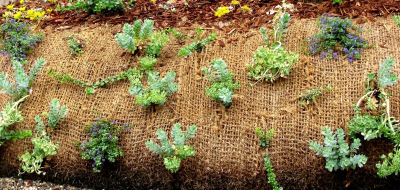 Outdoor Erosion Management